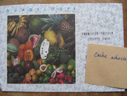 267  Guadeloupe 1989 Cyclone Hugo Franchise Postale Pointre à Pitre Fruit Salon Habitat Flamme Postale COP 21 - Climate & Meteorology