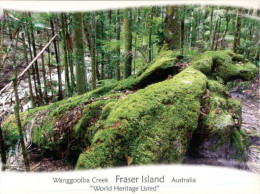 (225) Australian - QLD - Fraser Island Wanggoolba Creek - Sunshine Coast