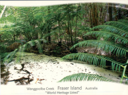 (225) Australian - QLD - Fraser Island Wanggoolba Creek - Sunshine Coast