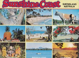 Sunshine Coast, Qld  - 8 View Folder - Wren Souvenirs Unused - Sunshine Coast