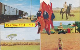 Kingoonya  Multiview, South Australia - Pitt Vintage Card, Unused - Altri & Non Classificati