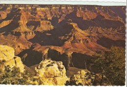 USA Grand Canyon ... XF307 - Grand Canyon
