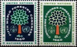 ONU UNO NEW YORK ** MNH Poste  78 Et 79 Congrès Mondial Forestier Forêt Forest Baum - Nuovi