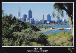 Perth Viewed From King's Park - Photo Cards 01015A Posted 2003 - Perth