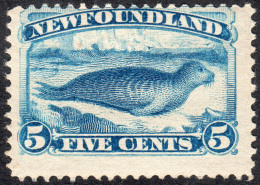 Newfoundland   1894   SG59a  5c Bright Blue  OG - 1865-1902