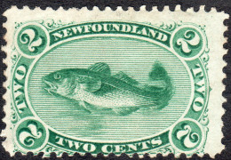 Newfoundland   1896   SG64  2c Green (reissue)   OG - 1865-1902