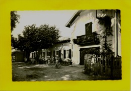 EB 4001 CARTE PHOTO SAINTE MARIE DE GOSSE LE CAFE RESTAURANT MIREMONT LAVIEILLE  ANIMEE ENFANTS VELOS - Saint Vincent De Tyrosse