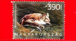 UNGHERIA - Magyar - 2013 - Usato - Fauna - Animali D´Ungheria - Animals - Pipistello  - 390 Ft - Used Stamps