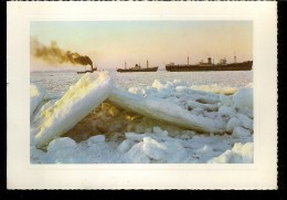 CARTE DE VŒUX :  Bateaux Entouré De Glace 1965 - Zeekaarten