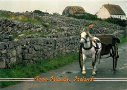 CPSM Ireland-The Aran Islands    L1527 - Galway