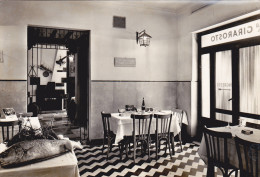 TRASTEVERE  /  Trattoria  " CARLO "  - Interno   _ Cartolina Fotografica - Cafés, Hôtels & Restaurants