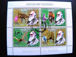 Used Block Mini Sheet S/s From Democratic Rep. Congo 2006 Charles Darwin Dinosaures Minerals - Oblitérés