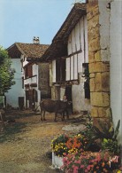 Cp , AGRICULTURE , Fermes Pittoresques Au Pays Basque - Fermes