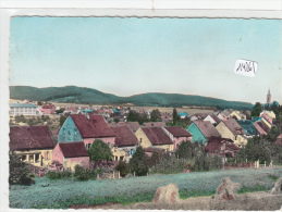 CPM GF - 14261-Allemagne - Niederwurzbach - Vue Générale-Envoi Gratuit - Saarpfalz-Kreis