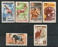 Spain Espana 6 Diff Lion Tiger Giraff Elephant Antelope Wild Life Animal Telegraph Tanger Telegrafo Fiscal MNH # 3038 - Telegraph