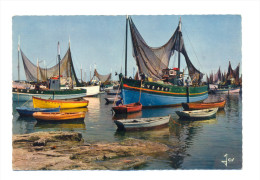 France, Bretagne, Finistère 29, Bateaux De Pêche Dans Le Port De Lesconil - Lesconil