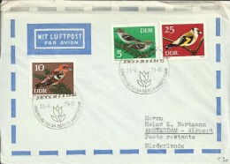 ALEMANIA DDR CC PRIMER VUELO BERLIN AMSTERDAM SELLOS PAJAROS AL DORSO MAT AMSTERDAM - Airmail