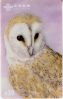 TARJETA DE CHINA CON UN BUHO  (OWL-CHOUETTE) LECHUZA - Owls