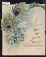 Happy Christmas Feather Of Peacock Goes Out The Card ; Poem Of J. Vogel (12´974) - Sonstige & Ohne Zuordnung