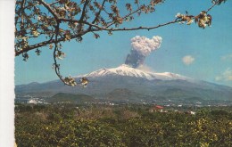 Cartoline Vulcani-etna-eruzione 1964 - Other & Unclassified