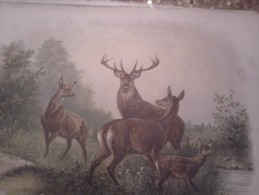 Lithographie JAGD HUNT HIRSCH  Damhirschkuh Und Fawn ROTWILD  DIMEN.51 Cm X 39 Cm DER ALTE ZEITEN - Sport