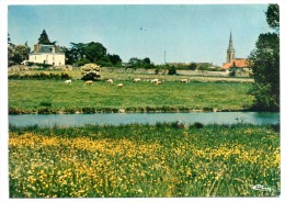 CP, 44, AIGREFEUILLE SUR MAINE, Aspect Champêtre Du Bourg, écrite, Voyagé En 1986 - Aigrefeuille-sur-Maine