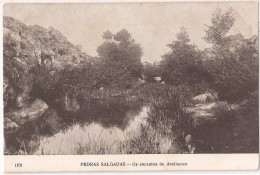 Pedras Salgadas - Os Encantos Do Avellames - Vila Real