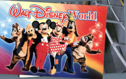 (321) Disney - Mickey & Friends - Disneyworld