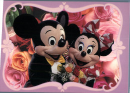 (321) Disney - Mickey Mouse & Minnie Mouse - Disneyworld