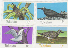 Tokelau-1977 Birds 57-60 MH - Tokelau