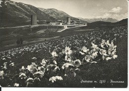 TO106 - SESTRIERE - TORINO - F.G. VIAGGIATA 1952 - Panoramische Zichten, Meerdere Zichten