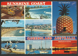 Australia,  Sunshine Coast. ... The Big Pinneapple. - Sunshine Coast