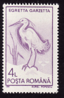 Aigrette Garzette   - Roumanie - Storchenvögel