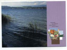 ENTIER POSTAL SUISSE LAC DE MORAT LEGUME LAITUE POIREAU NAVET POTIRON - Vegetables