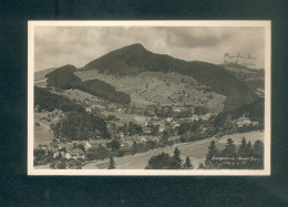 Suisse BL - Langenbruck ( Basler Jura ) ( Vue Generale Ed. G. Bliegert Plattner) - Langenbruck