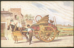 ROMA ROME CARRETTIERE A VINO OLD POSTCARD - Transport