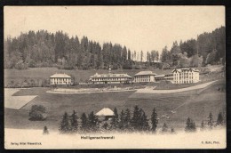 HEILIGENSCHWENDI - HOTEL NIESENBLICK - 1914 - Heiligenschwendi