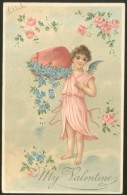 VALENTINE DAY LITHO OLD EMBOSSED POSTCARD 1904 - Valentinstag