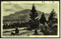 Der Falkenstein Bei Zwiesel Im Bayrischen Wald   -   Ansichtskarte Ca.1922    (2713) - Zwiesel
