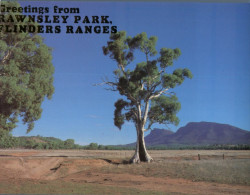 (799) Australia - SA - Rawnsley Park - Flinders Ranges