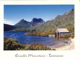 (799) Australia - TAS - Cradle Mountain - Wilderness