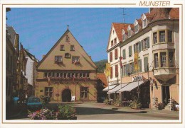 Cp , 68 , MUNSTER , Place De La Mairie - Munster