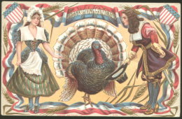 THANKSGIVING GREETINGS OLD EMBOSSED POSTCARD - Thanksgiving