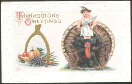 THANKSGIVING GREETINGS OLD EMBOSSED POSTCARD 1911 - Thanksgiving
