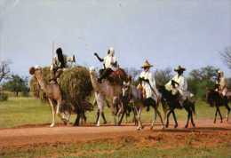 Sur La Route De FILLINGUE Jour De Marche, Cavaliers - Níger