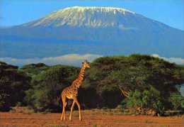 Girafe, Kilimandjaro?,edition Limitee Reservee Aux Donateurs De MMI - Girafes