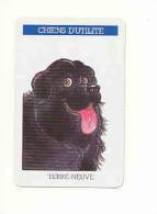 1 Carte De Jeu / Chiens D'utilité / Dog Humor Chien Portrait Humour /  Terre-neuve  // IM 51/76 - Unclassified