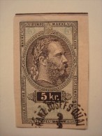 AUTRICHE . FISCAUX . 5KR 1895 FRAGMENT - Revenue Stamps