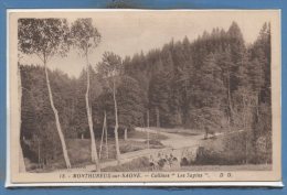 88 - MONTHUREUX Sur SAONE -- Collines " Les Sapins - Monthureux Sur Saone