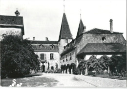 Münchenwiler - Schloss, Zentrum Für Erwachsenenbildung            Ca. 1960 - Wiler Bei Utzenstorf